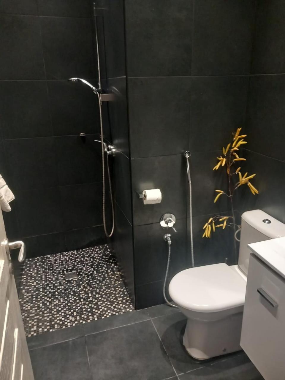 Studio "11"Near Monaco Beausoleil Ngoại thất bức ảnh